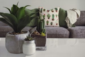 DIY vs. Professional Repairs: How Home Insurance Responds to Home Maintenance