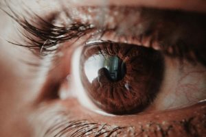 Beyond the Basics: Exploring Supplemental Health Insurance Options